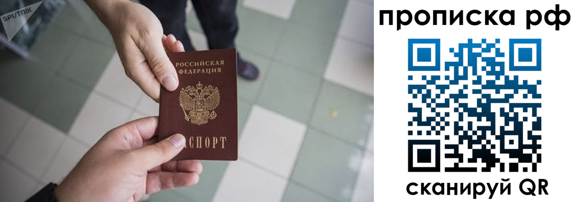 прописка гарантия в Щучье
